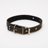 Ошейник брезентовый на фетре, 64 х 3 см, ОШ 30-55 см, тёмно-зелёный Ошейник брезентовый на фетре, 64 х 3 см, ОШ 30-55 см, тёмно-зелёный