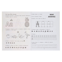 Обучающая книга &laquo;Знакомимся с буквами. Готовимся к школе&raquo;