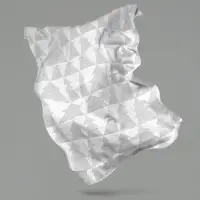 Плед &laquo;Танцующий лес&raquo;, белый с серебром