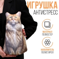 Антистресс игрушка, кот «Мейн-кун» Антистресс игрушка, кот «Мейн-кун»