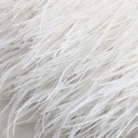 Тесьма с перьями страуса, 8-10 см, 5 ± 0,5 м, цвет белый Тесьма с перьями страуса, 8-10 см, 5 ± 0,5 м, цвет белый