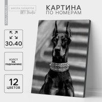 Картина по номерам на холсте с подрамником &laquo;Доберман&raquo;, 30х40 см