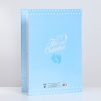 Папка для свидетельства о рождении для мальчика «Мишка», А4 Папка для свидетельства о рождении для мальчика «Мишка», А4