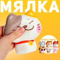 Мялка-сквиши &laquo;Киска&raquo;, виды МИКС