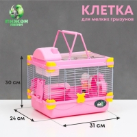 Клетка для грызунов "Пижон", 31 х 24 х 30 см, розовая Клетка для грызунов "Пижон", 31 х 24 х 30 см, розовая