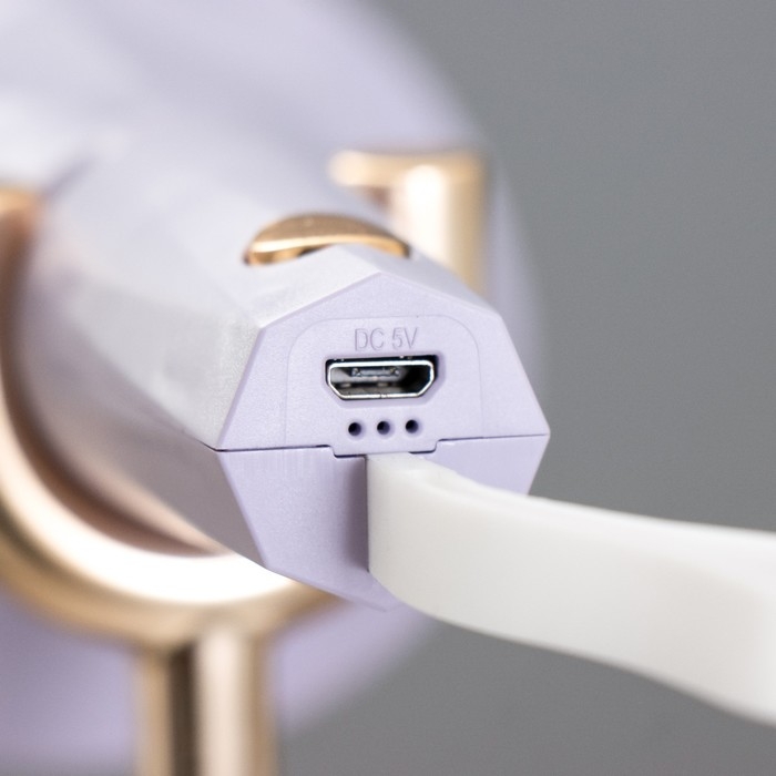 Настольная лампа "Делсер" LED 3Вт USB АКБ фиолетовый 14х13х39 см RISALUX