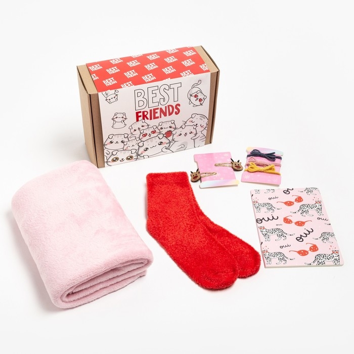 Подарочный набор &laquo;Лучший друг&raquo;, плед 85х100 см и аксессуары