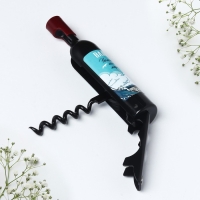 Магнит-открывашка «Владивосток», 2,5 х 11,8 х 2,5 см Магнит-открывашка «Владивосток», 2,5 х 11,8 х 2,5 см