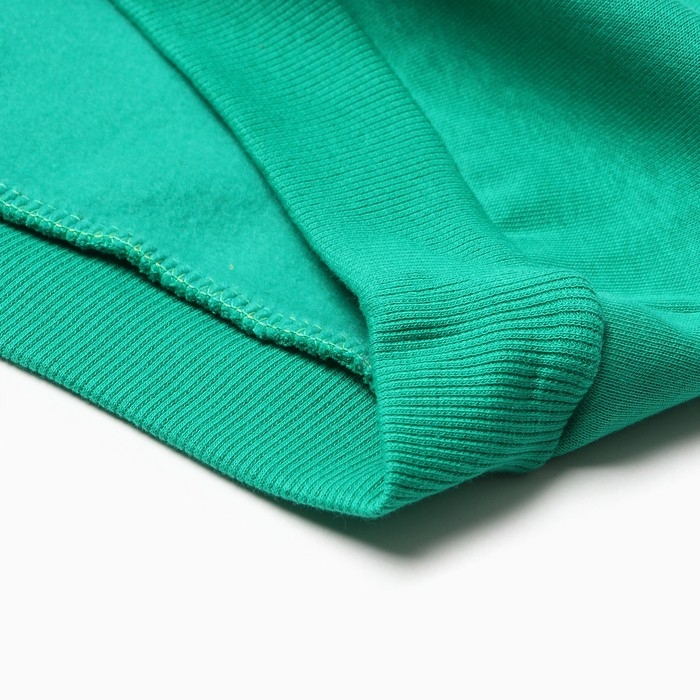 Костюм для мальчиков (толстовка, брюки), НАЧЁС, цвет зелёный, рост 98 см Костюм для мальчиков (толстовка, брюки), НАЧЁС, цвет зелёный, рост 98 см