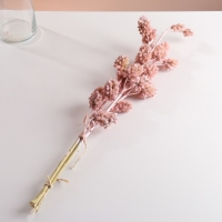 Набор сухоцветов "Солодка", банч 3 шт, длина 60 (+/- 6 см), розовый