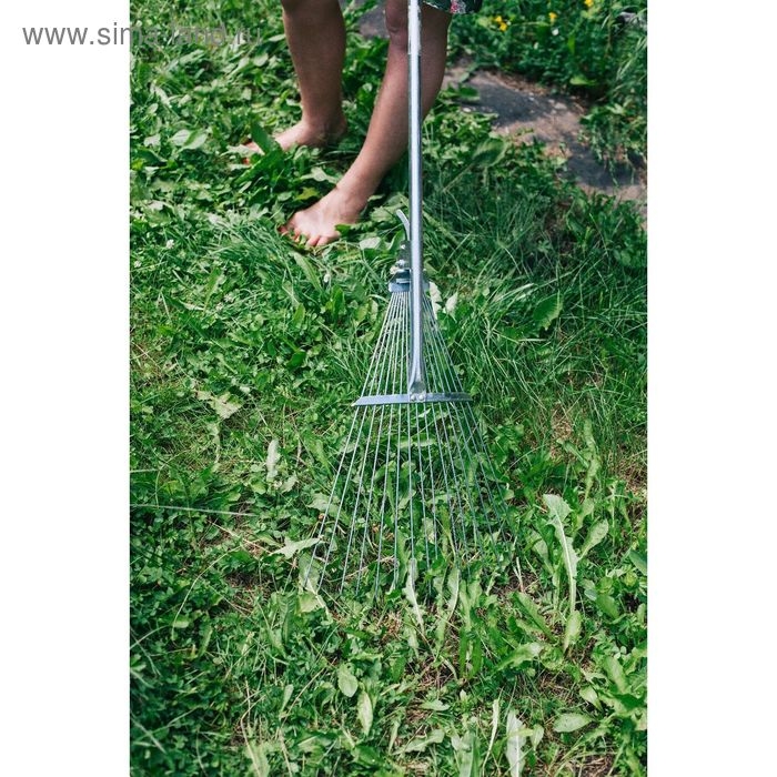 Грабли веерные, проволочные, 15 зубцов, металл, раздвижные, металлический черенок, Greengo Грабли веерные, проволочные, 15 зубцов, металл, раздвижные, металлический черенок, Greengo