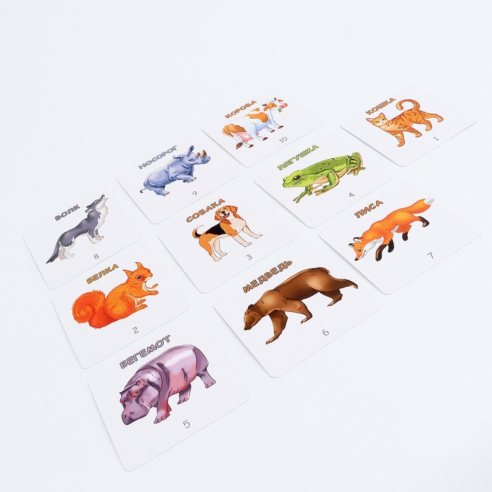 Набор карточек &laquo;Да или нет. Животные&raquo;