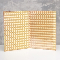 Папка с двумя файлами А4 "Диплом выпускника" сирень, книга на темно-синем фоне Папка с двумя файлами А4 "Диплом выпускника" сирень, книга на темно-синем фоне