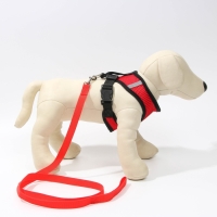 Шлейка дышащая с поводком и светоотражающей нашивкой, M, ОШ 33, ОГ 32-43, красная Шлейка дышащая с поводком и светоотражающей нашивкой, M, ОШ 33, ОГ 32-43, красная