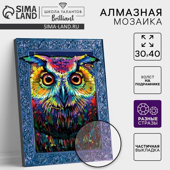 Алмазная мозаика с частичным заполнением и форменными стразами на раме «Сова», 30 х 40 см Алмазная мозаика с частичным заполнением и форменными стразами на раме «Сова», 30 х 40 см