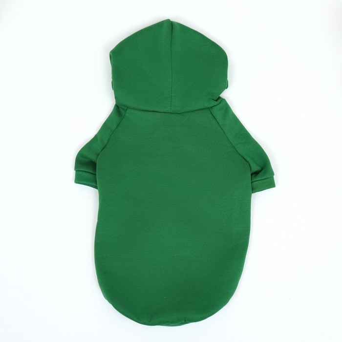 Толстовка "Лягушка", размер S (ДС 25, ОГ 38 см)