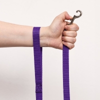 Поводок капроновый цветной Зооник, 2 м х 2 см, микс цветов Поводок капроновый цветной Зооник, 2 м х 2 см, микс цветов