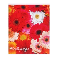 Комплект тетрадей из 5 штук (4 разные + 1 повторяющаяся), 48 листов в клетку Calligrata "Цветы", обложка мелованная бумага, блок №2, белизна 75% (серые листы) Комплект тетрадей из 5 штук (4 разные + 1 повторяющаяся), 48 листов в клетку Calligrata "Цветы", обложка мелованная бумага, блок №2, белизна 75% (серые листы)