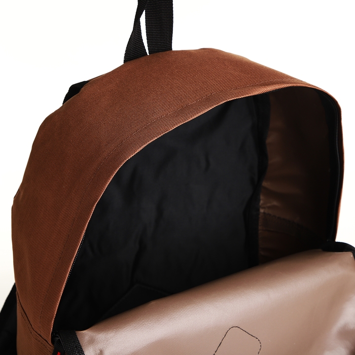 Рюкзак школьный на молнии, наружный карман, цвет коричневый