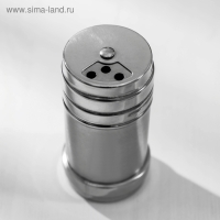 Солонка из нержавеющей стали «Металлик», 120 мл, 4,3×8 см, цвет серебряный Солонка из нержавеющей стали «Металлик», 120 мл, 4,3×8 см, цвет серебряный