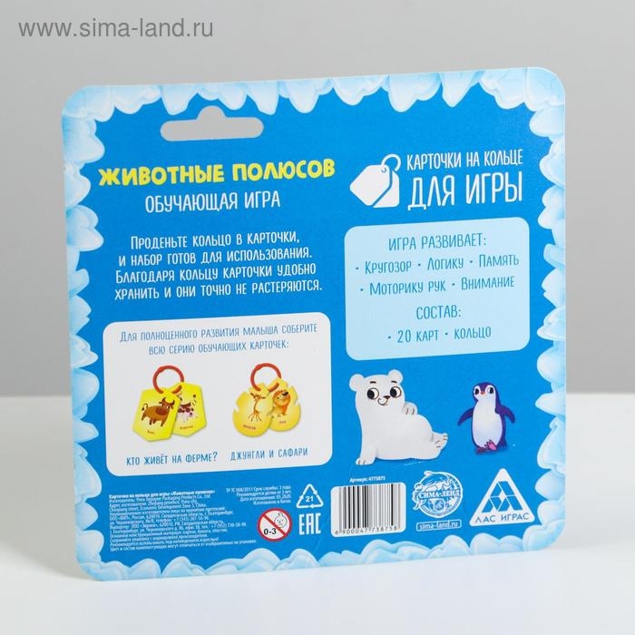 Карточки на кольце для изучения английского языка &laquo;Животные полюсов&raquo;, 20 карт, кольцо, 3+