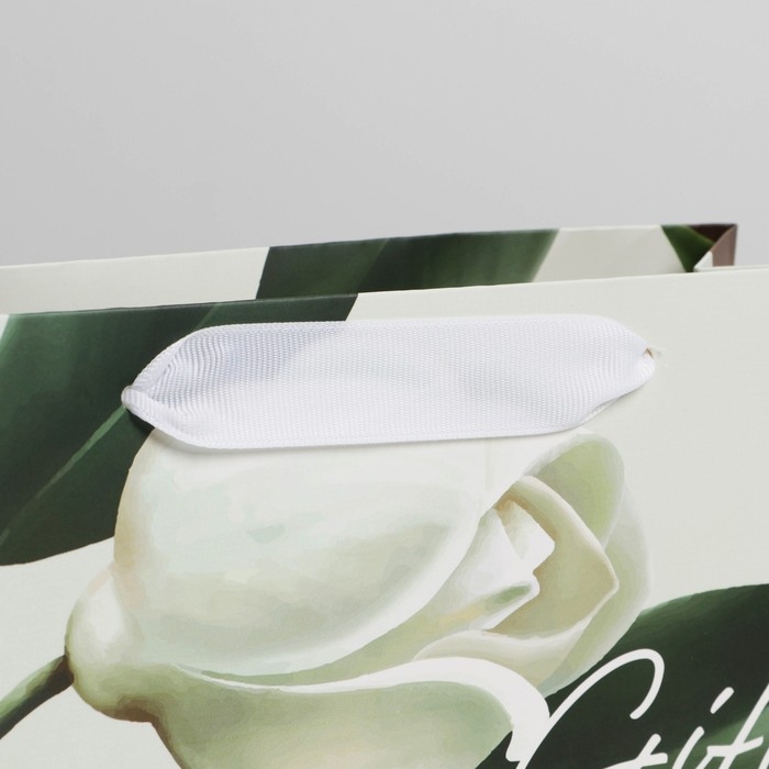 Пакет подарочный ламинированный, упаковка, &laquo;Подарок&raquo; 22 х 17,5 х 8 см