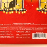 Печенье с предсказаниями в коробке &laquo;Исполнения желаний&raquo;, 6 шт.,