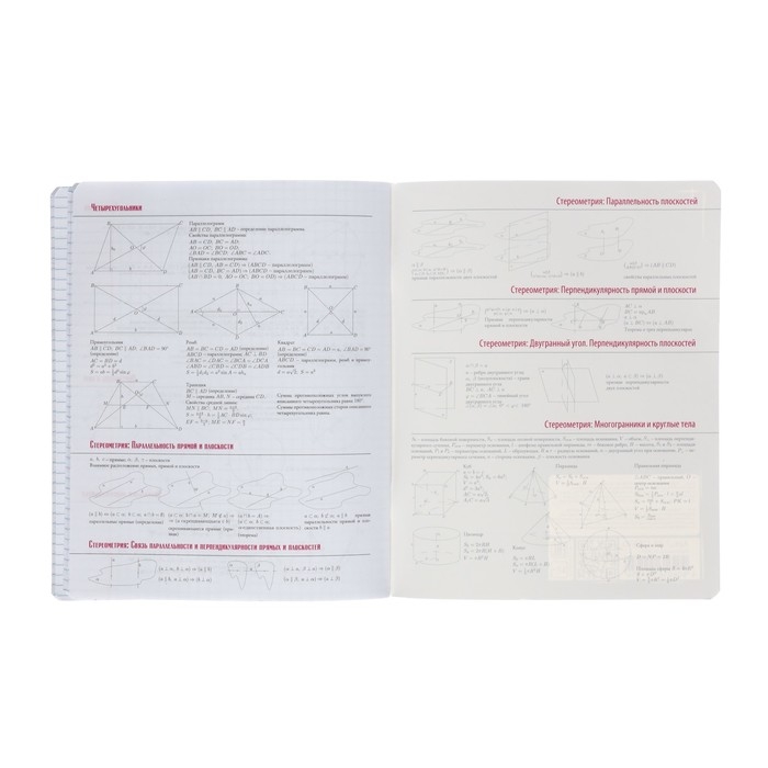 Тетрадь предметная "Зверобудни", 48 листов в клетку "Геометрия", обложка картон, ламинация SoftTouch