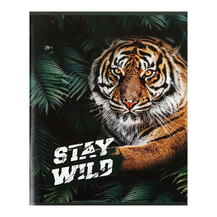 Комплект тетрадей из 4 штук, 96 листов в клетку Calligrata Комплект тетрадей из 4 штук, 96 листов в клетку Calligrata "Хищники", обложка мелованный картон, блок офсет