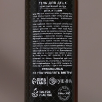 Подарочный набор косметики &laquo;Год сулит успех&raquo;, гель для душа и шампунь для волос, 2 х 100 мл, Новый Год