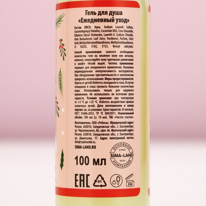 Подарочный набор косметики «С Новым Годом», гель для душа 100 мл и соль для ванны 100 г, аромат пряного цитруса, ЧИСТОЕ СЧАСТЬЕ Подарочный набор косметики «С Новым Годом», гель для душа 100 мл и соль для ванны 100 г, аромат пряного цитруса, ЧИСТОЕ СЧАСТЬЕ