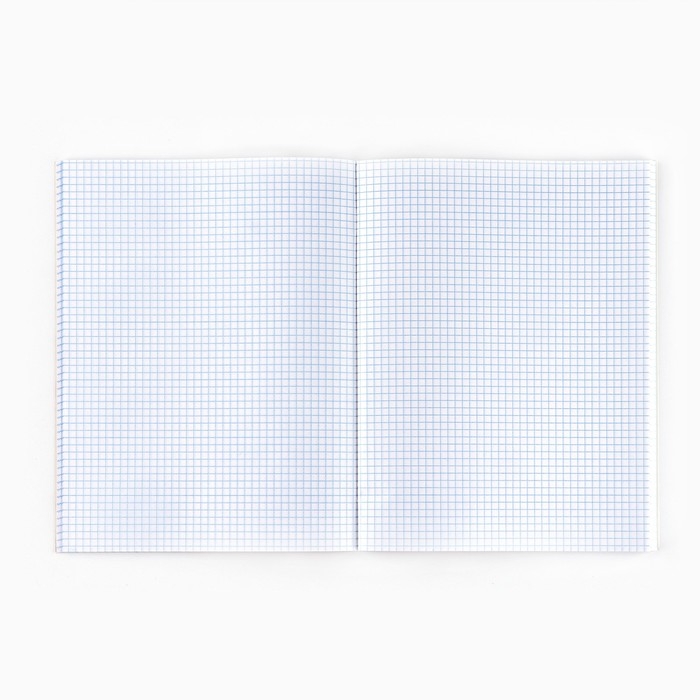 Тетрадь в клетку А4, 80 листов на скрепке &laquo;1 сентября:Job&raquo;