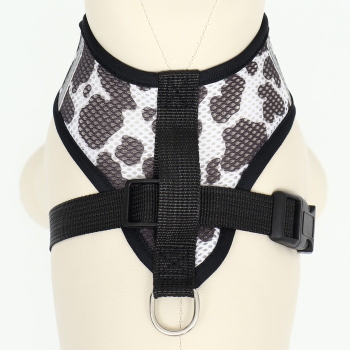 Комплект для собак 5-8 кг, размер M, поводок 120 х 1,5 см, ОШ 30 см, ОГ 39 см