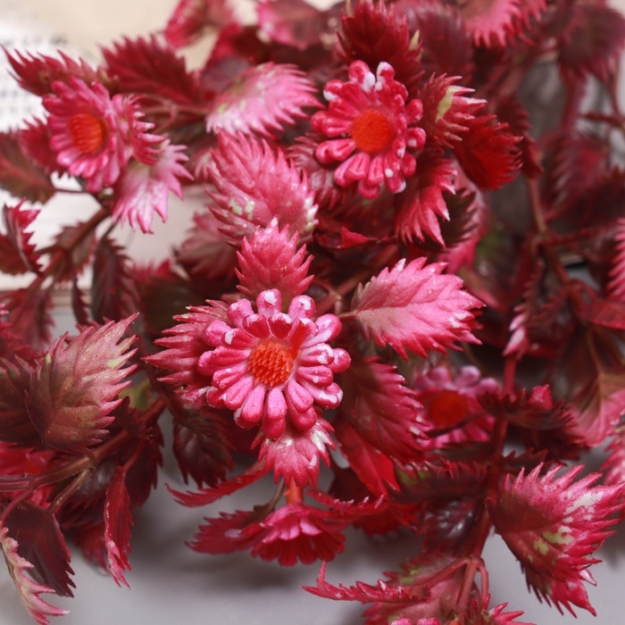 Букет "Вертикордия" 30 см