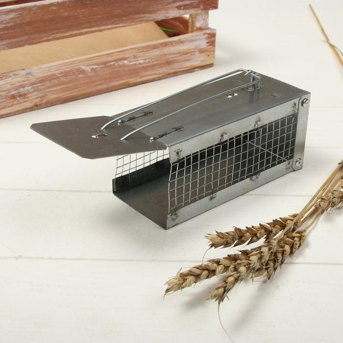 Мышеловка-ловушка (клетка), 13 &times; 6 &times; 6 см, металл