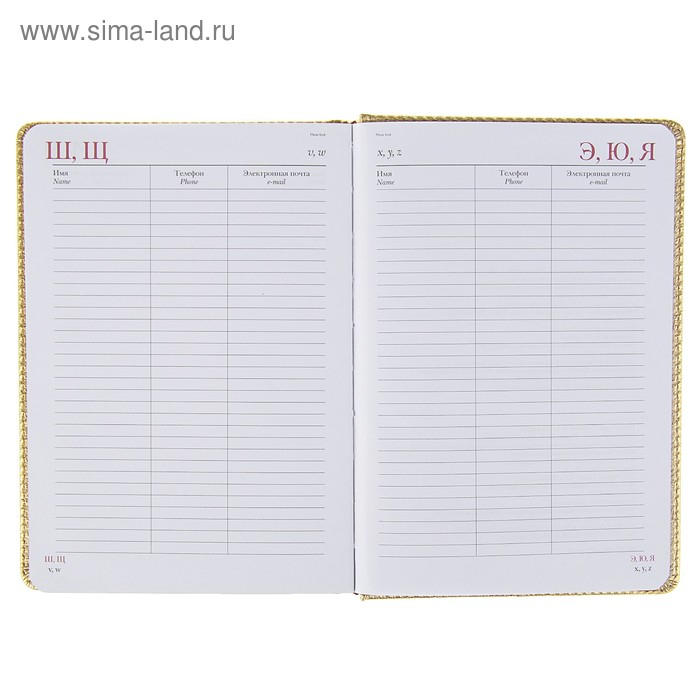 Ежедневник недатированный А5+, 136 листов Sidney Nebraska, твёрдая обложка, искусственная кожа, золотой срез, золото