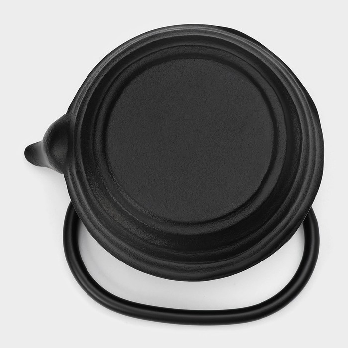 Чайник для плиты с эмалированным покрытием внутри Magma &laquo;Танан&raquo;, 800 мл, чугун, с ситом, индукция