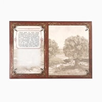 Родословная книга в шкатулке с деревом &laquo;Книга моей семьи&raquo;, 20 х 26 см.