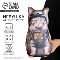 Антистресс игрушка, кот &laquo;Создан добиваться целей&raquo;