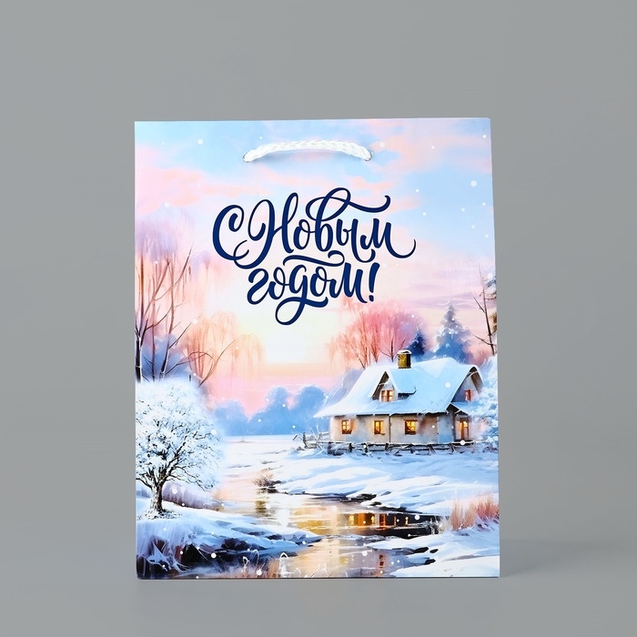 Пакет подарочный новогодний ламинированный &laquo;Зимняя деревня&raquo;, MS 18 х 23 х 8 см, Новый год