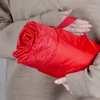 Плед для пикника Comfy, красный Плед для пикника Comfy, красный