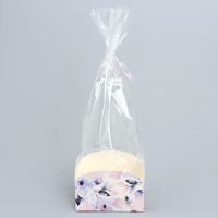 Пакет подарочный с коробкой, упаковка, &laquo;Цветы&raquo;, 12 х 12 х 40 см