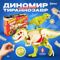 Набор для опытов &laquo;Диномир: Тираннозавр&raquo;, строение тела динозавра, 33 детали