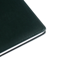 Телефонная книга А5, 64 листа deVENTE. Bravo, твердая обложка из искусственной кожи с поролоном, блок 70 г/м2, зелёный Телефонная книга А5, 64 листа deVENTE. Bravo, твердая обложка из искусственной кожи с поролоном, блок 70 г/м2, зелёный