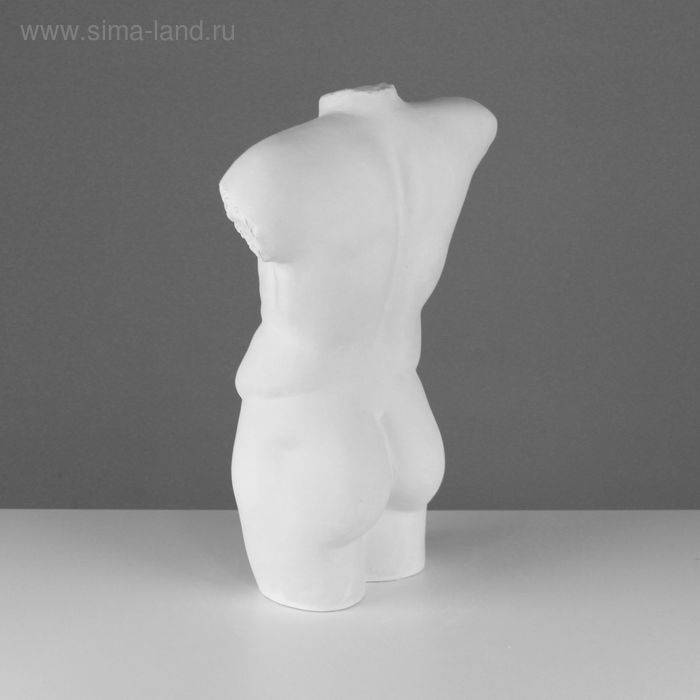 Гипсовая фигура Торс античный, 46 х 27,5 х 16 см Гипсовая фигура Торс античный, 46 х 27,5 х 16 см
