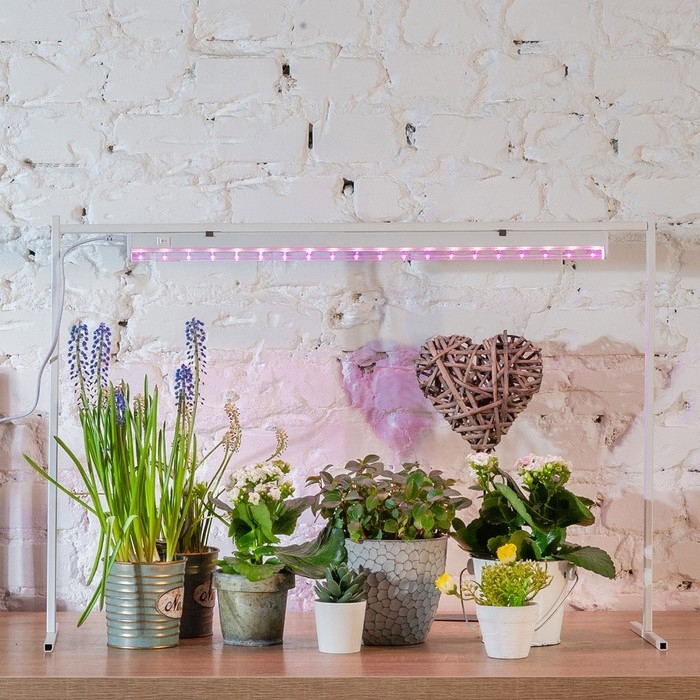 Фитосветильник светодиодный Uniel, 10 Вт, 572 мм, IP20, 220 В, полноспектральный, с выкл.