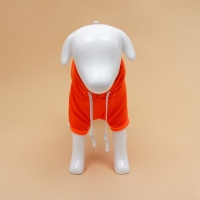 Толстовка "Любимая морковка", размер XL (ДС 40, ОГ 56 см) Толстовка "Любимая морковка", размер XL (ДС 40, ОГ 56 см)