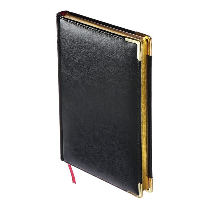 Ежедневник недатированный А5+, 136 листов Sidney Nebraska, твёрдая обложка, искусственная кожа, золотой срез, золотые уголки, чёрный