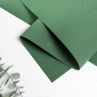 Фоамиран иранский 0,8-1 мм (тёмно-тёмно зелёный) 60х70 см Фоамиран иранский 0,8-1 мм (тёмно-тёмно зелёный) 60х70 см