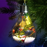 Ёлочный шар новогодний &laquo;Чудес в Новом году!&raquo;, на Новый год, d=7 см.